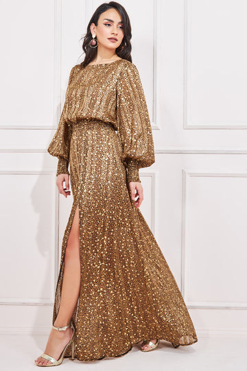 Shirred Waist Chiffon Printed Maxi Dress Goddiva